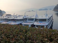 -千岛湖东南湖区