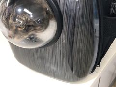 -宠颐生中康贝怡动物医院