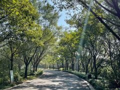-同里国家湿地公园