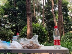 -铁山坪森林公园