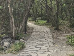 -吴淞炮台湾湿地森林公园烧烤区