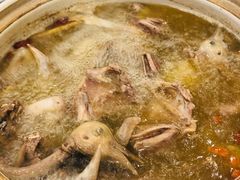 -鸽鸟轩(石岐店)