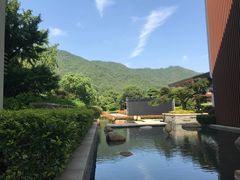 -逸廊大堂吧-下午茶·简餐-千岛湖自由洲际殿