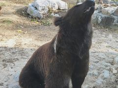 -石家庄市动物园