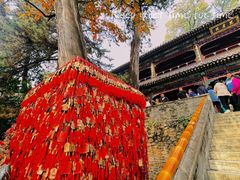 -潭柘寺景区