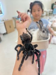 -Moni星球萌宠·小马宝莉·灵蛇·高端高阶全萌宠互动体验俱乐部(红豆国际广场店)