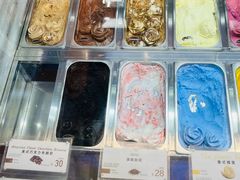 -iceason爱茜茜里·意大利健康冰淇淋(骑龙巷店)