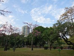 景点-晓港公园