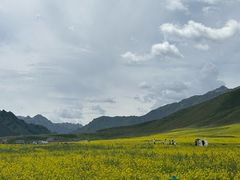 -扁都口生态休闲旅游区