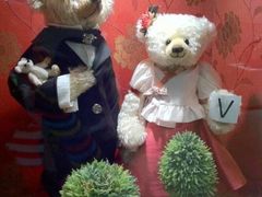 -济州岛泰迪熊博物馆