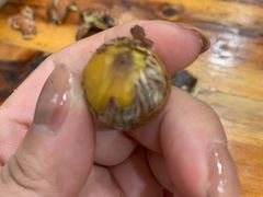 -小邢板栗(中和路店)