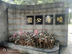 -晓港公园