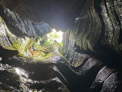 -梭布垭石林景区