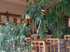 -慢丽江·云南野生菌土鸡锅(付家庄店)
