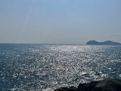 -广东惠东海龟国家级自然保护区