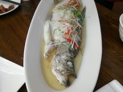 -金枝玉叶上海人家食府(三里河店)