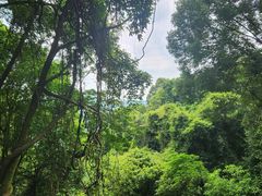 -广州市帽峰山景区
