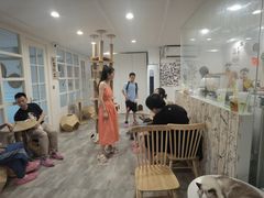 -楼上猫咖(罗湖店)