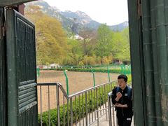 -青岛崂山太清宫