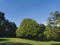 -生态园山庄(森林公园店)