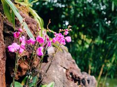 -南通洲际绿博园