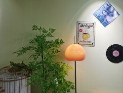-变美丽半永久纹眉连锁·机器野生眉•洗眉