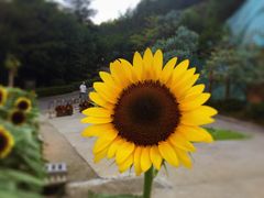 -广州市流溪河国家森林公园