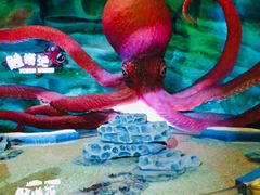 -青岛嘉年华主题乐园