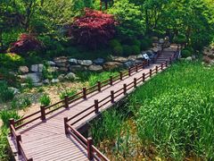 -大连植物园
