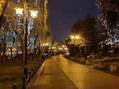 -福苗小骆驼烧烤(大唐不夜城店)