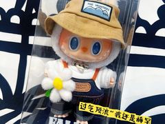 -泡泡玛特POPMART(凯德大峡谷店)