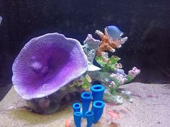 -欢乐海岸海洋奇梦馆