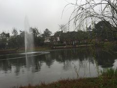 -成飞公园