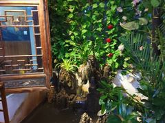 -丽江庭院·云南野生菌·海鲜火锅(鼓楼四合院店)