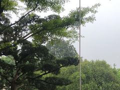 -浙江西子宾馆·瑶园咖啡厅