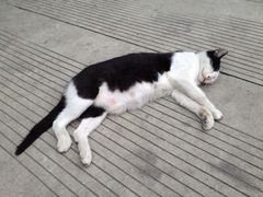 iphone_upload_pic-平安桥天主教堂