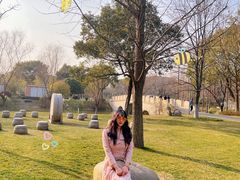 -昆山城市生态森林公园