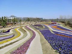 -南通洲际绿博园