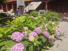 -北京石刻艺术博物馆