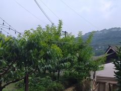 -玫瑰庄园·自助烧烤·烤全羊·团建拓展(龙泉山店)