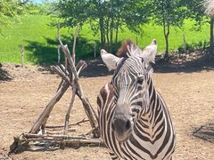 -北京野生动物园