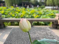 -拙政园