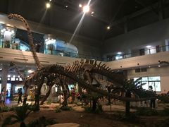 -自贡恐龙博物馆