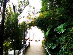 -南诏风情岛