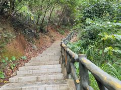 -梧桐山风景名胜区