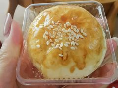 蛋黄酥月饼-闻酥园(青羊区文殊坊店)