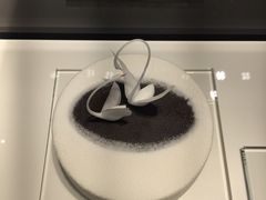 -BLACKSWAN黑天鹅(环球店)