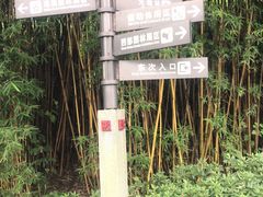 -重庆园博园