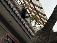 -丽江庭院·云南野生菌·海鲜火锅(鼓楼四合院店)