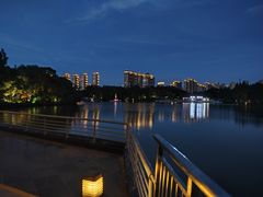 -青枫公园